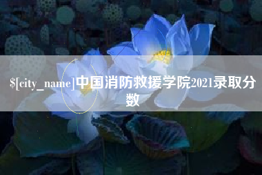 乐清中国消防救援学院2021录取分数