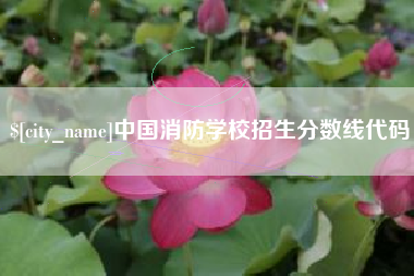 乐清中国消防学校招生分数线代码