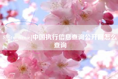 乐清中国执行信息查询公开网怎么查询