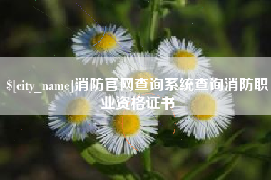 乐清消防官网查询系统查询消防职业资格证书