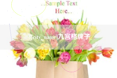 乐清九宫格牌子