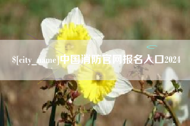 乐清中国消防官网报名入口2024