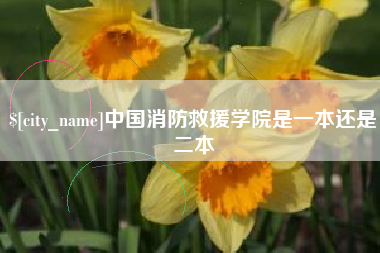乐清中国消防救援学院是一本还是二本