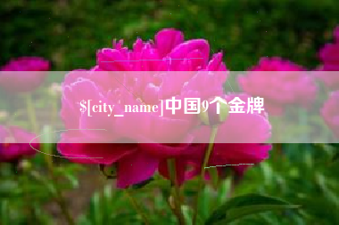 乐清中国9个金牌