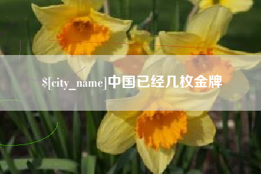 乐清中国已经几枚金牌