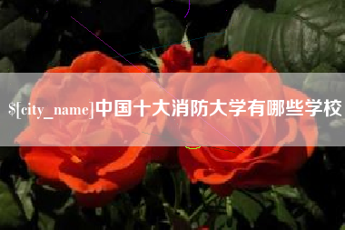 乐清中国十大消防大学有哪些学校