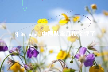 乐清中国队拿几块金牌了