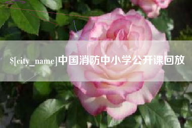 乐清中国消防中小学公开课回放
