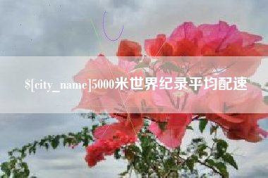 乐清5000米世界纪录平均配速