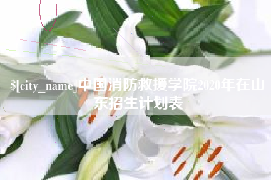 乐清中国消防救援学院2020年在山东招生计划表
