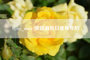 乐清我国消防日是每年的