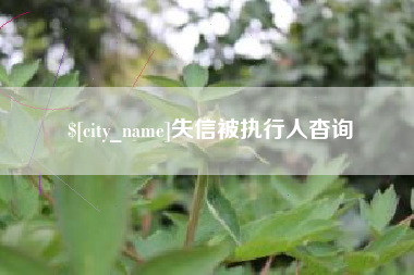 乐清失信被执行人杳询