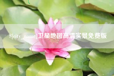 乐清卫星地图高清实景免费版