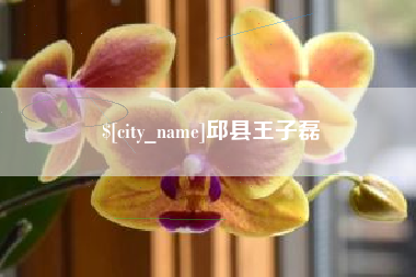 乐清邱县王子磊