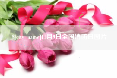 乐清11月9日全国消防日图片