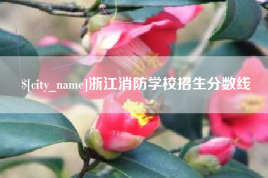 乐清浙江消防学校招生分数线