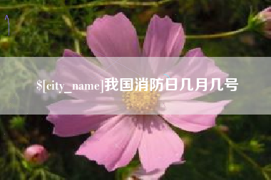 乐清我国消防日几月几号