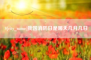乐清我国消防日是哪天几月几日