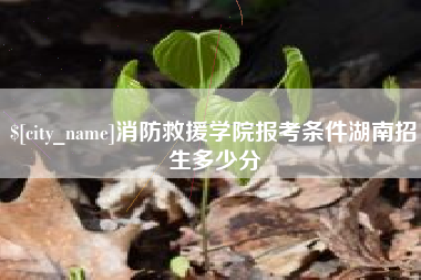 乐清消防救援学院报考条件湖南招生多少分
