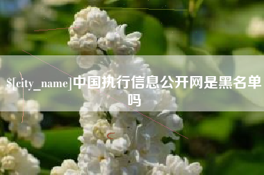 乐清中国执行信息公开网是黑名单吗