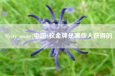 乐清中国6枚金牌是哪些人获得的