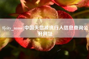 乐清中国失信被执行人信息查询公开网址