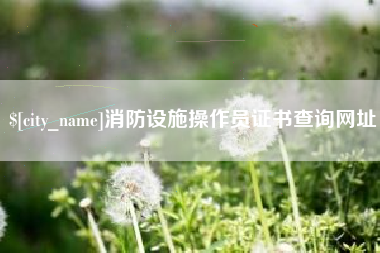 乐清消防设施操作员证书查询网址