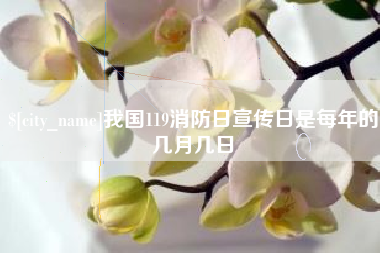 乐清我国119消防日宣传日是每年的几月几日