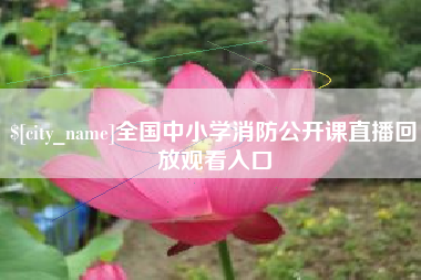 乐清全国中小学消防公开课直播回放观看入口