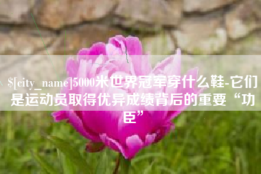 乐清5000米世界冠军穿什么鞋-它们是运动员取得优异成绩背后的重要“功臣”