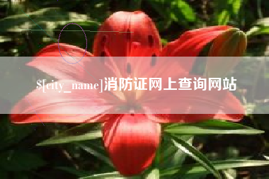 乐清消防证网上查询网站