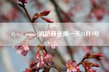乐清消防日是哪一天11月9号