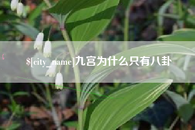 乐清九宫为什么只有八卦