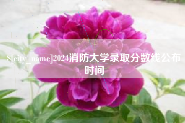 乐清2024消防大学录取分数线公布时间
