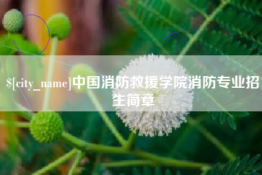 乐清中国消防救援学院消防专业招生简章