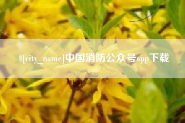 乐清中国消防公众号app下载