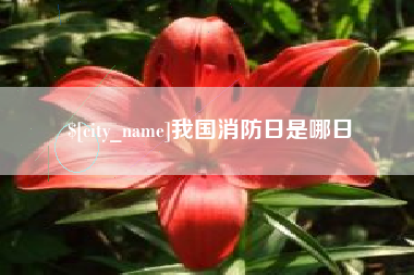 乐清我国消防日是哪日