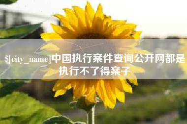 乐清中国执行案件查询公开网都是执行不了得案子