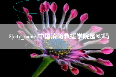 乐清中国消防救援学院是985吗