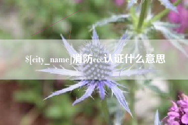 乐清消防ccc认证什么意思