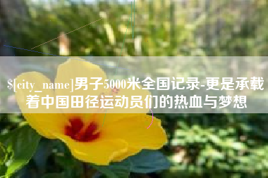 乐清男子5000米全国记录-更是承载着中国田径运动员们的热血与梦想