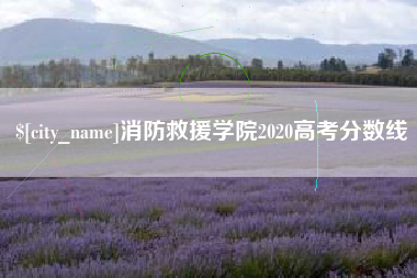 乐清消防救援学院2020高考分数线