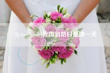 乐清我国消防日是哪一天