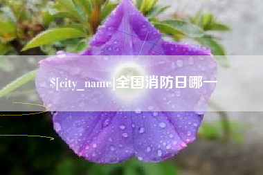 乐清全国消防日哪一