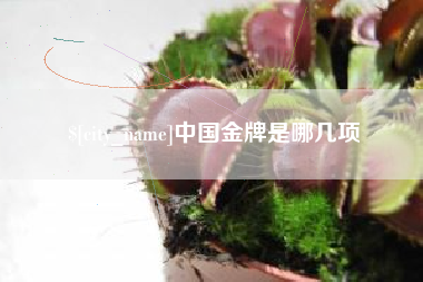 乐清中国金牌是哪几项
