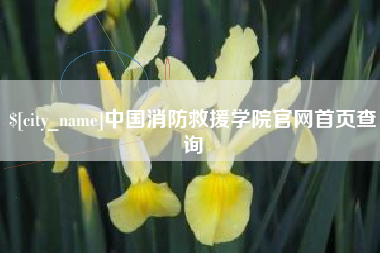 乐清中国消防救援学院官网首页查询