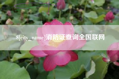 乐清消防证查询全国联网