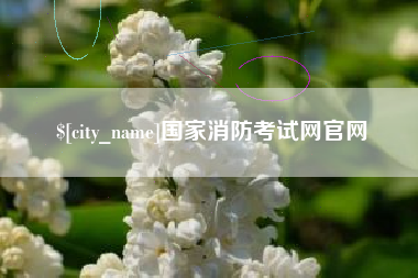乐清国家消防考试网官网