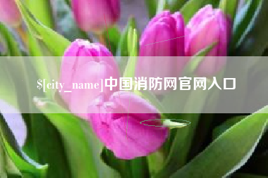 乐清中国消防网官网入口