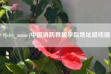 乐清中国消防救援学院地址路线图